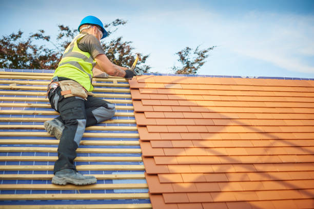 Best Asphalt Shingles Roofing  in Bay City, OR